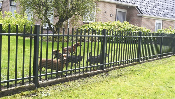 NL, Eesergroen: Spring characterises the landscape, towns and people in the province of Drenthe in the Netherlands. The picturesque village of Ees in Drenthe. NL, Eesergroen: Spring shapes the landscape, cities and people in the province of Drenthe in the Netherlands
