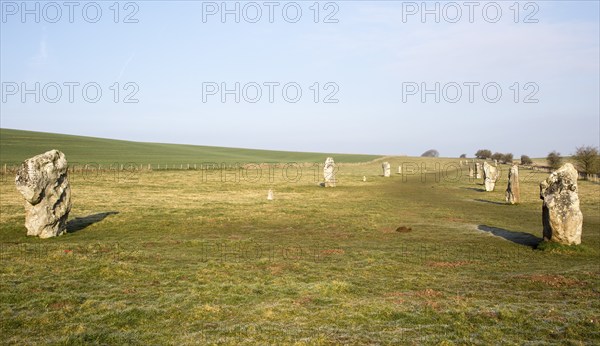 Lines of standing sarsen stones form the Avenue, Avebury World Heritage site, Wiltshire, England, UK