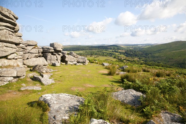 Granite upland landscape at Combestone Tor, near Hexworthy, Dartmoor national park, Devon, England, United Kingdom, Europe