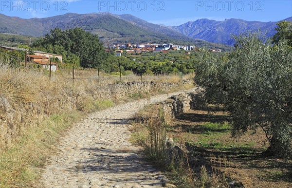 Ruta del Emperador, Route of the Emperor footpath, view to Aldeanueva de la Vera, Extremadura, Spain, Europe