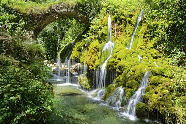 The Oasi Cascate Capelli Di Venere waterfall, also known as Fontana Capello, is located in the Cilento, Vallo di Ciano e Alburti National Park. The national park is the second largest national park in Italy. Casaletto Spartano, Province of Salerno, Campania, Southern Italy, Southern Europe