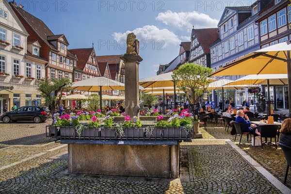 Fountain on the Großer Plan in the old town centre with typical half-timbered houses, Celle, Lüneburg Heath, Lower Saxony, Germany, Europe