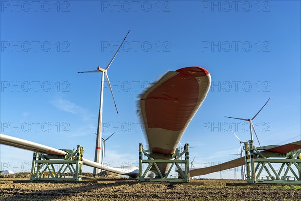 Wind farm near Bad Wünnenberg, construction site, toothing on the rotor blades, so-called Enevoldsen or Dinotails, are intended to reduce the noise of the rotors, storage area for a new wind turbine, components of the mast, the nacelle and the rotors are ready for assembly, North Rhine-Westphalia, Germany, Europe
