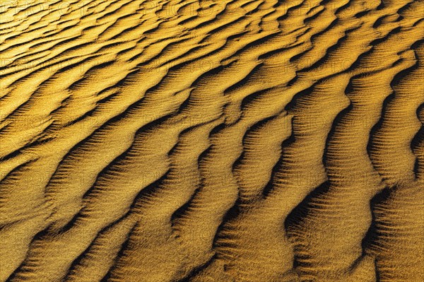 Sand structure formed by the wind, in the Rub al Khali desert, Dhofar province, Arabian Peninsula, Sultanate of Oman
