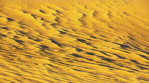 Sand structure formed by the wind, in the Rub al Khali desert, Dhofar province, Arabian Peninsula, Sultanate of Oman