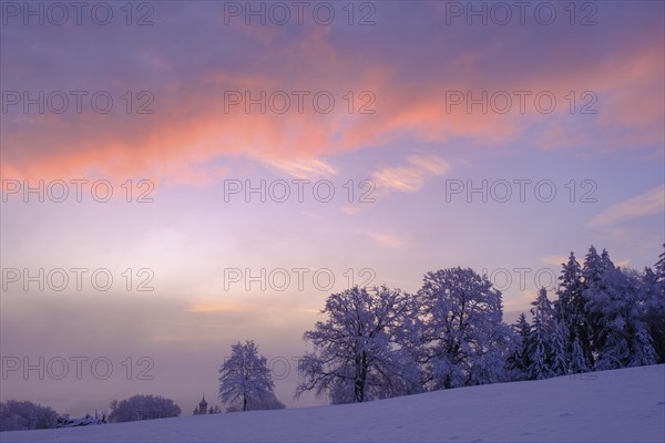 Sunrise with hoarfrost in winter, at the Schlossberg, Eurasburg, Loisachtal, Upper Bavaria, Bavaria, Germany, Europe