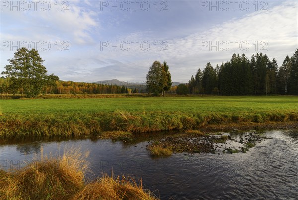 View over the Klosterfilz Moor to the Großer Rachel (1452m), Bavarian Forest National Park, Bavaria, Germany, Europe