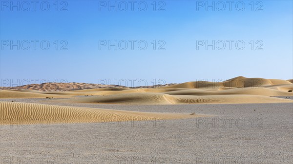 Wind-sculpted curved sand dunes in the Rub al Khali desert, Dhofar province, Arabian Peninsula, Sultanate of Oman