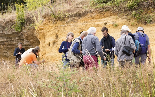 Geology fieldtrip at Sutton Knoll SSSI, Rockhall Wood Pit, Sutton, Suffolk, England, UK