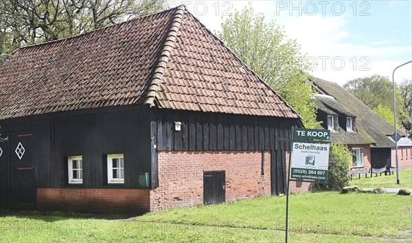 NL, Eesergroen: Spring characterises the landscape, towns and people in the province of Drenthe in the Netherlands. The picturesque village of Ees in Drenthe. NL, Eesergroen: Spring shapes the landscape, cities and people in the province of Drenthe in the Netherlands