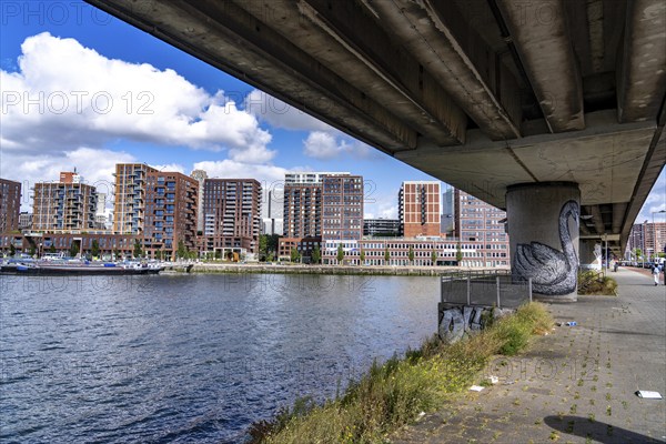 Bridge for the metro railway, harbour basin of the Maashaven, residential buildings in the Kop van Zuid and Katendrecht districts, almost all buildings have been built or rebuilt in recent years, popular residential area, structural change, Rotterdam, Netherlands