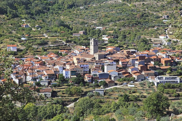 Looking down on rooftops of nucleated village Garganta la Olla, La Vera, Extremadura, Spain, Europe