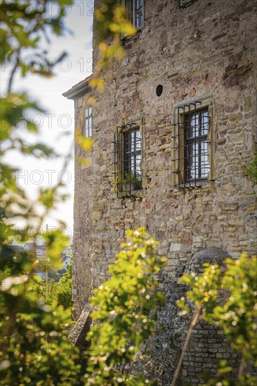 Historic castle ruins with old windows and stone walls, surrounded by green foliage and sunlight, Harz Mountains, Germany, Europe