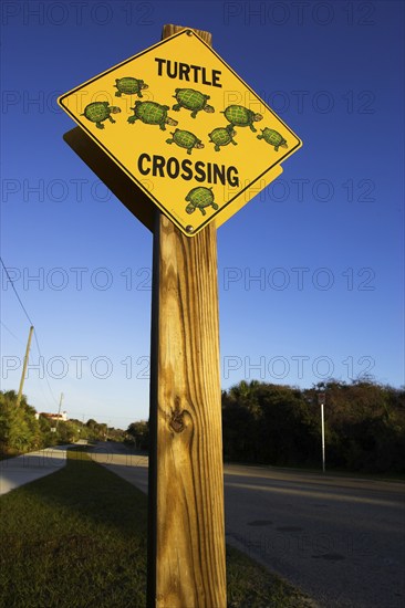 Road sign 'Tortoises crossing the roadway', Daytona Beach, Florida, USA, North America