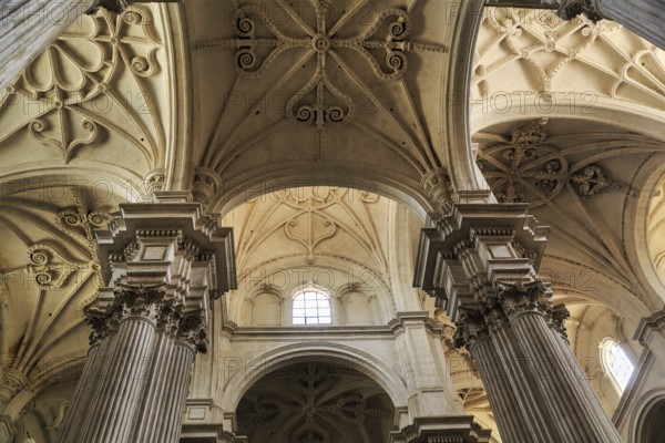 Decorated ceiling vault in the Cathedral of Santa Maria de la Encarnacion de Granada, view upwards, Granada, Andalusia, Spain, Europe