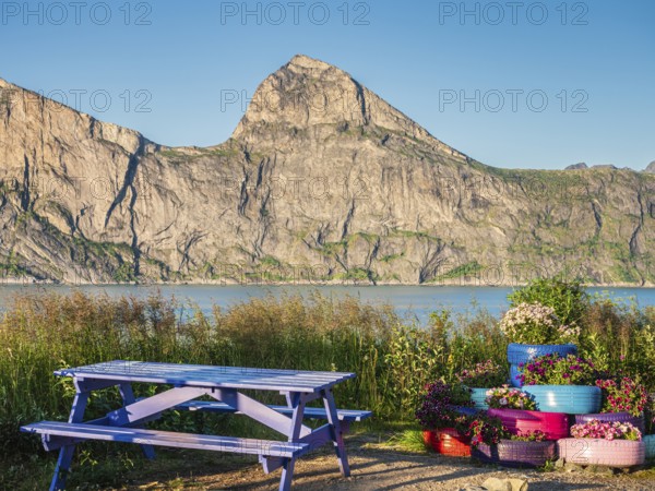 Rest stop, rest area, at the Mefjord, view to mountain Segla, island Senja, Troms, Norway, Europe