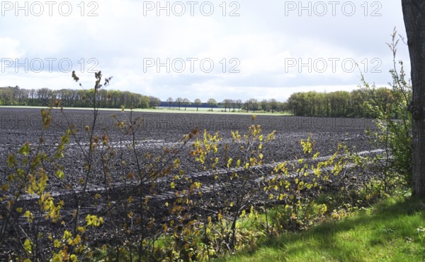 NL, Eesergroen: Spring characterises the landscape, towns and people in the province of Drenthe in the Netherlands. The village of Eesergroen in Drenthe. NL, Eesergroen: Spring shapes the landscape, cities and people in the province of Drenthe in the Netherlands