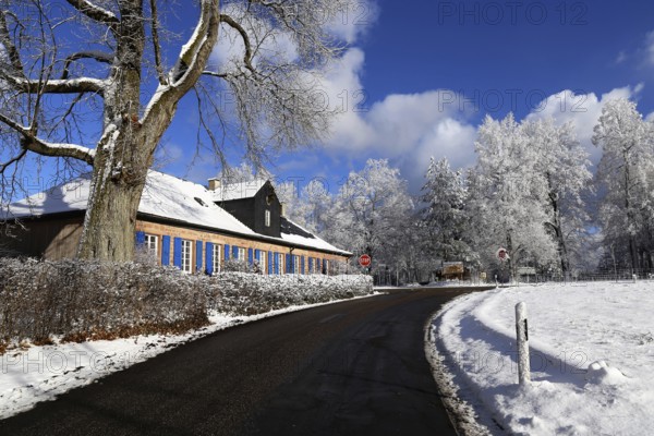 Snow-covered winter landscape in the Palatinate Forest, here at Johanniskreuz. In the snow-poor Palatinate, beautiful winter days like this are an absolute rarity