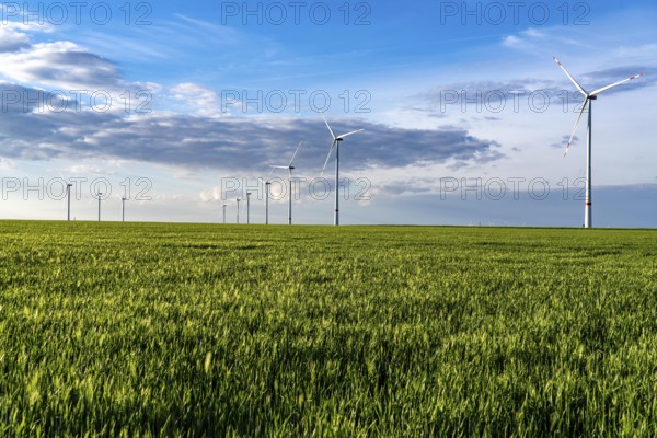 RWE wind farm near Bedburg, at the Garzweiler opencast mine, on recultivated part of the opencast lignite mine, Nordex N163 wind turbine, North Rhine-Westphalia, Germany, Europe