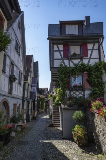 Altstadtgasse, Engelgasse, historic half-timbered buildings and sights in Gengenbach, Ortenaukreis, Baden-Württemberg, Germany, Europe