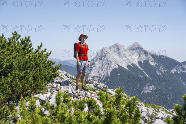 Mountaineer on a hiking trail between mountain pines, behind mountain peak Seekarspitze, ascent to Hochunnütz, Unnütz crossing, Brandenberg Alps, Tyrol, Austria, Europe