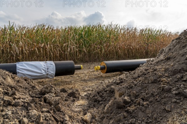 Laying of district heating pipes, next to a field, with maize, the district heating comes from a biogas plant and is fed directly into households in the neighbourhood, private provider, near Delbrück, North Rhine-Westphalia, Germany, Europe