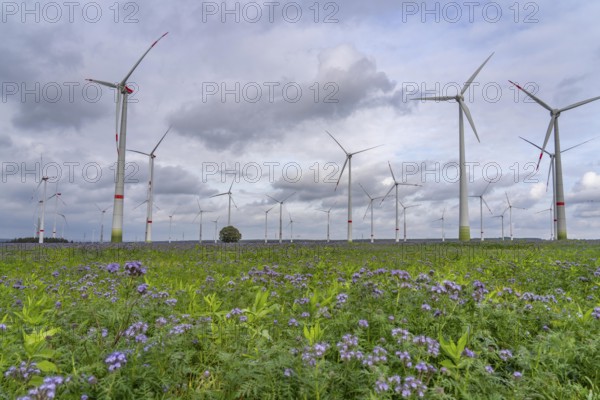 Wind farm north-east of Bad Wünnenberg, near the village of Elisenhof, on the A44 motorway, North Rhine-Westphalia, Germany, Europe