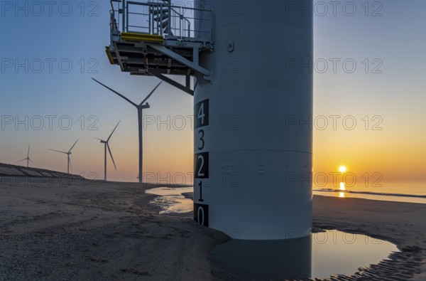ENECO wind farm on the dike around the harbour Maasvlakte 2, 22 wind turbines with a capacity of 116 megawatts, sunset, Rotterdam, Netherlands