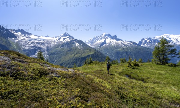 Mountaineer in front of a mountain panorama with glaciated mountain peaks, Aiguille Verte with Aiguille du Midi and Mont Blanc, hike to Aiguillette des Posettes, Chamonix, Haute-Savoie, France, Europe