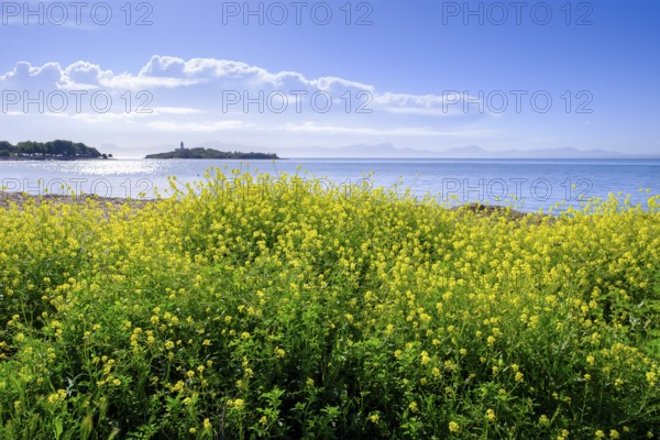 Island with lighthouse Alcanada, rape, Alcudia, Majorca, Balearic Islands, Spain, Europe