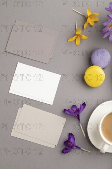 Gray and white business card mockup with spring snowdrop crocus flowers, cup of coffee, multicolored macaroons on gray pastel background. Blank, business card, top view, flat lay, copy space, still life. spring concept
