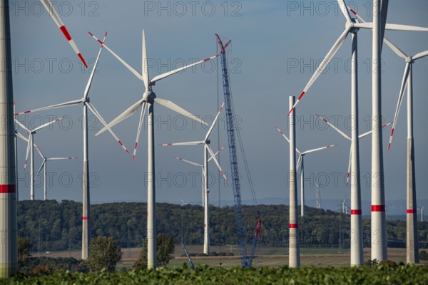 Wind farm near Bad Wünnenberg, Ostwestfalen Lippe, along the A44 motorway, North Rhine-Westphalia, Germany, Europe