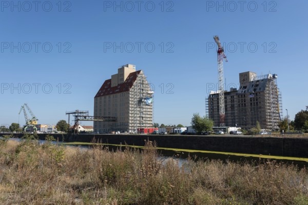 Old silo building, warehouse, construction crane in front, Magdeburg Port of Science, Saxony-Anhalt, Germany, Europe