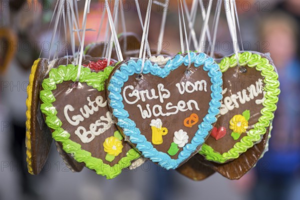 Gingerbread hearts decorated with colourful icing with the inscription 'Gruß vom Wasen', Cannstadter Volksfest, Stuttgart-Bad Cannstadt, Baden-Württemberg