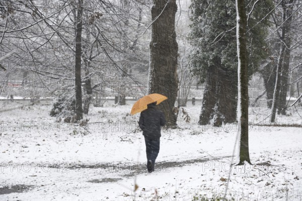 Man Walking on the Path in the Forest with an Umbrella when it's Snowing in a Snowy Winter Day in Locarno, Ticino, Switzerland, Europe