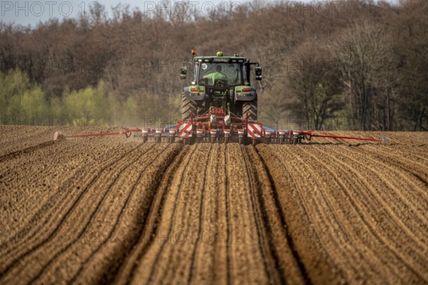 Sugar beet being sown in spring, precision sowing with precision seed drill, behind a tractor, Niederkrüchten, North Rhine-Westphalia, Germany, Europe