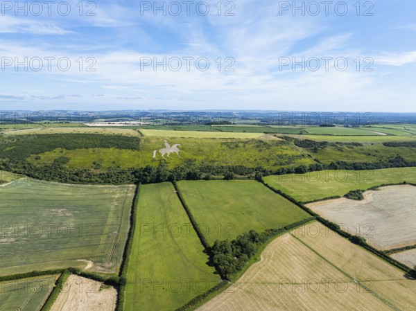 Fields and farms over Osmington White Horse from a drone, Osmington Hill, Weymouth, Dorset, England, United Kingdom, Europe