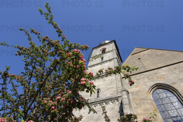 St Martin's Church from the 12th century, former collegiate monastery, Forchheim, Upper Franconia, Bavaria, Germany, Europe