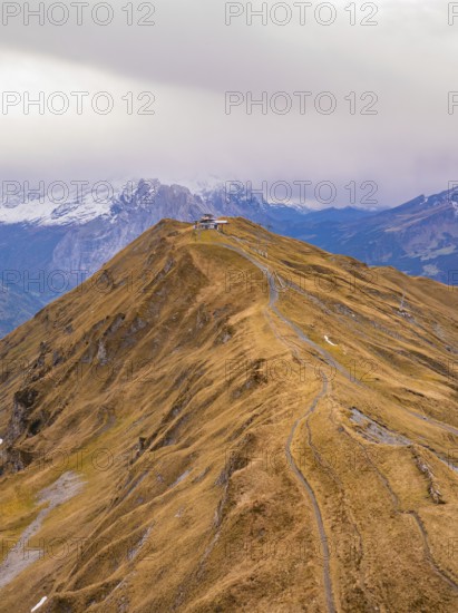 A narrow path winds its way over an autumn-coloured mountain ridge against an alpine backdrop, Alpen Tower, Switzerland, Europe