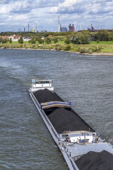 Rhine near Duisburg-Laar, freighter loaded with coal, houses on the dyke road, industrial backdrop of the ThyssenKrupp Steel steelworks in Bruckhausen, North Rhine-Westphalia, Germany, Europe