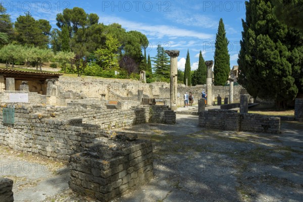 Vaison-la-Romaine. Archaeological site of Puymin. Vaucluse. Provence-Alpes-Côte d'Azur. France