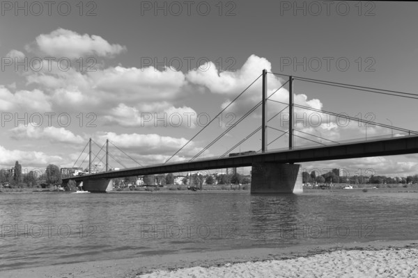 Theodor Heuss Bridge, Rhine Bridge, cable-stayed bridge from 1957, Düsseldorf, North Rhine-Westphalia, Germany, Europe