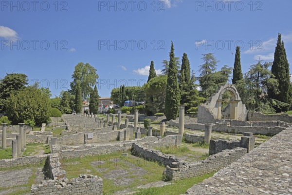 Archaeological Roman site of Puymin, open-air museum, archway, Roman period, ancient, Vaison-la-Romaine, Vaucluse, Provence, France, Europe