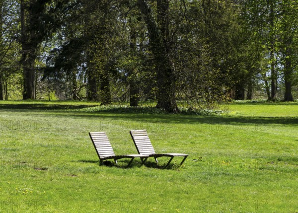 Wooden loungers in a meadow in the park, Rügen, Mecklenburg-Western Pomerania, Germany, Europe