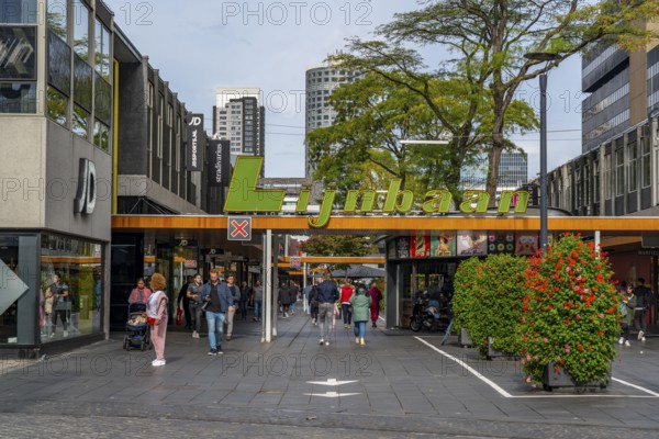 Shopping mile, shopping centre, business district, Lijnbaan, city centre, Rotterdam, Netherlands