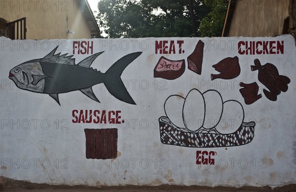 Mural painting representing food for carnivores Gambia