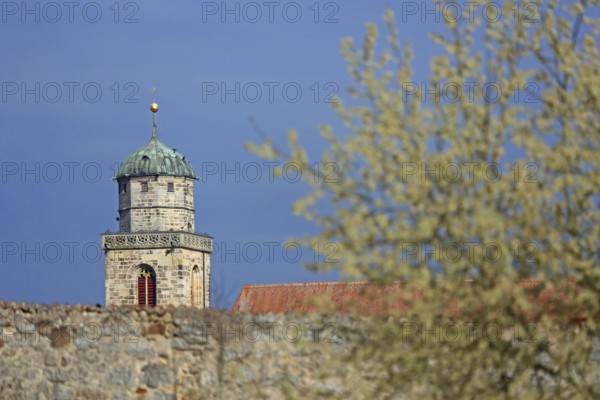 Tower of St George's Church and shrub in bloom in spring, light mood, spire, town wall, Dinkelsbühl, Middle Franconia, Franconia, Bavaria, Germany, Europe