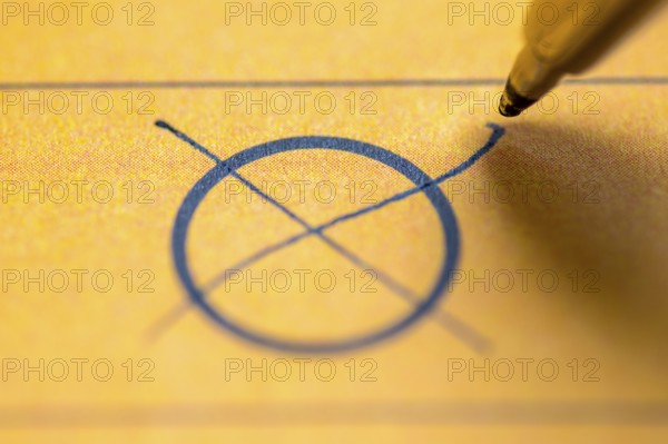 Ballot paper, ballot paper, ballot cross, circle, cross, ticked, biros