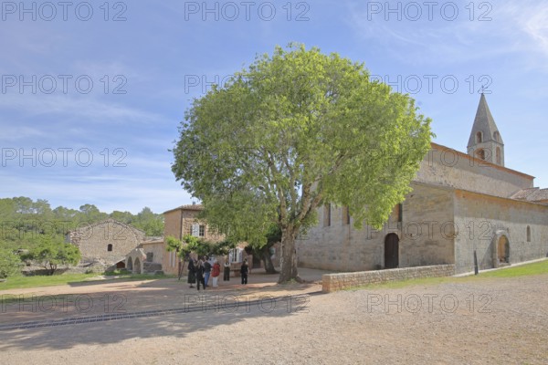 Romanesque abbey Le Thoronet and group of people, tourists, monastery complex, Cistercian abbey, Var, Provence, France, Europe