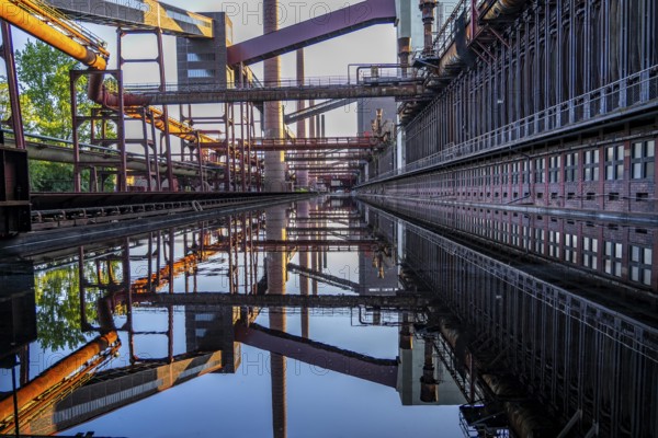 Zollverein coking plant at the Zeche Zollverein, conveyor bridges, chimneys, coke oven batteries are reflected in the rainwater that has collected in the printing press track, North Rhine-Westphalia, Germany, Europe